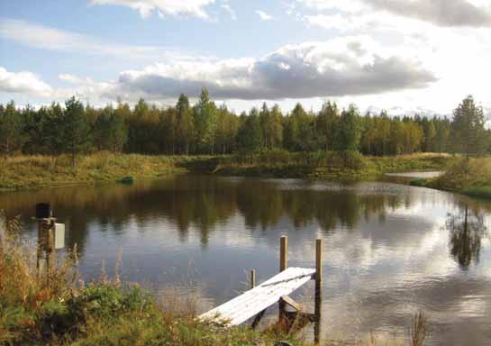 Metsätalouden vesiensuojelulliset työt