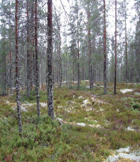690 Mäkilamminkalliota ei merkitä Pohjois-Savon maakuntakaavaan. Otettavaa ei enää ole.