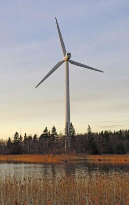 18 Tuulivoima lisää säätösähkön tarvetta Suunniteltu 2000 MW tuulivoima ei muodosta mitoittavaa vikaa eikä lisää nopean häiriöreservikapasiteetin tarvetta Myrskyssä tuulivoimalaitosten tuotanto