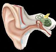 Kuulonalenema tekee luonnollisesta äänten havainnoinnista vaikeampaa mikä tekee myös jokapäiväisestä elämisestä vaikeampaa.