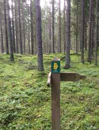 Ilvesreitillä kulkiessa pääsee näkemään suomalaisen metsäluonnon monimuotoisuuden. Reitti kulkee niin kansallispuistoissa ja luonnonsuojelualueilla kuin eri-ikäisissä talousmetsissäkin.