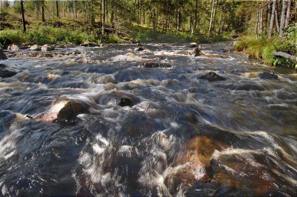 JUUANJOEN JA ALAJOEN KOSKI-