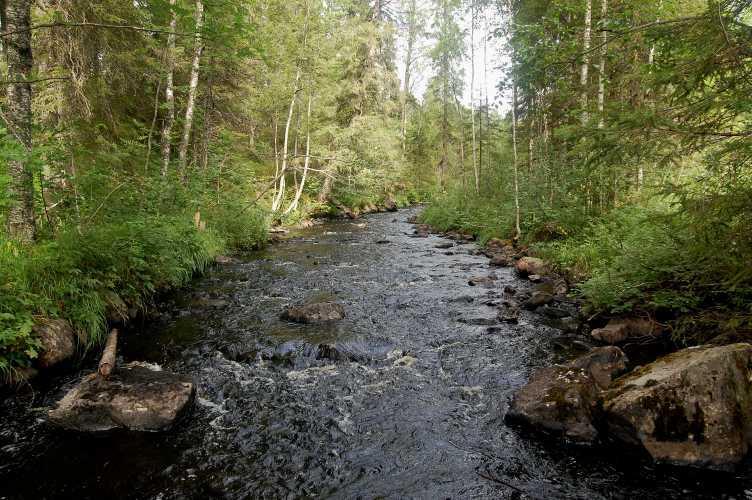 Yllämainitun kohteen alla on virrassa kaksi metriä pitkä ja puoli metriä syvä allas (säilytetään).