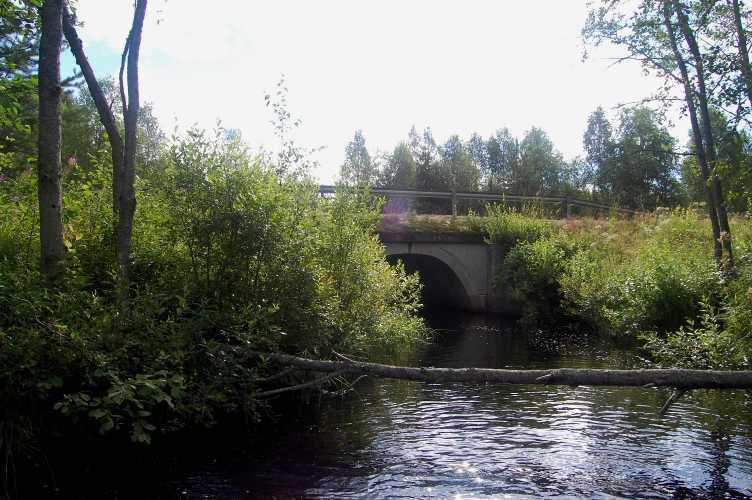 Toinen taimenen luontaista elinkiertoa rajoittava tekijä Alajoessa on lisääntymisalueiden vähyys.