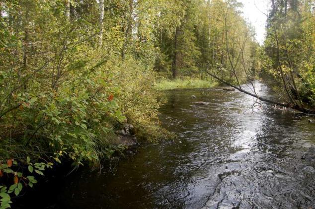 Kyseisellä kohtaa jokeen yhtyy itärannalla kuivatusoja.