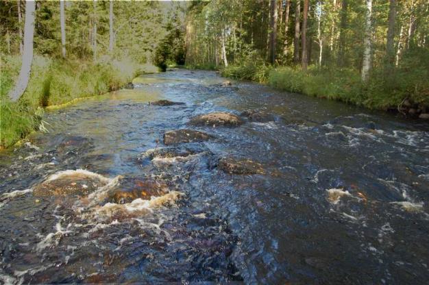 Länsirannalla on alavirtaan päin ensin kaksi pienehköä ja sitten kaksi suurempaa saareketta, joiden taitse vesi virtaa.