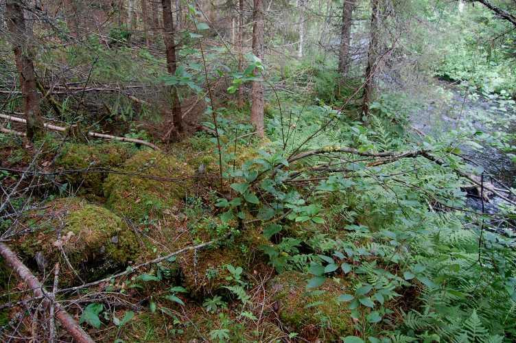 96 Kuvat 161 ja 162 on otettu noin 15 metriä Tahkovaarantien sillan