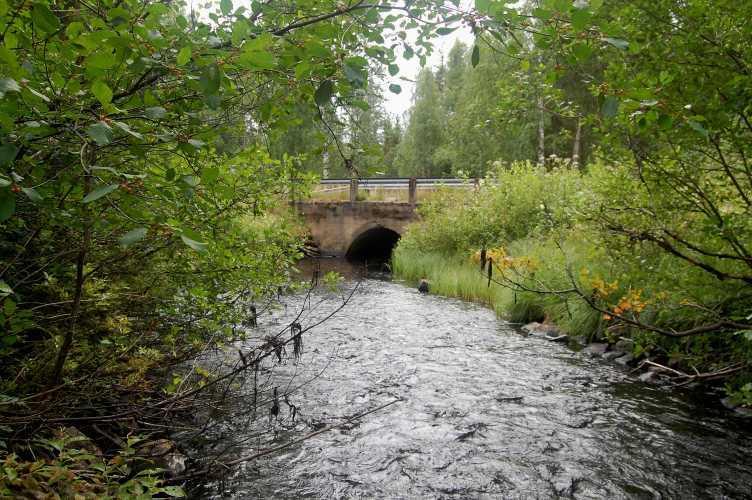 Hiukan ylempänä uomalla on leveyttä jälleen noin neljä metriä (kuva