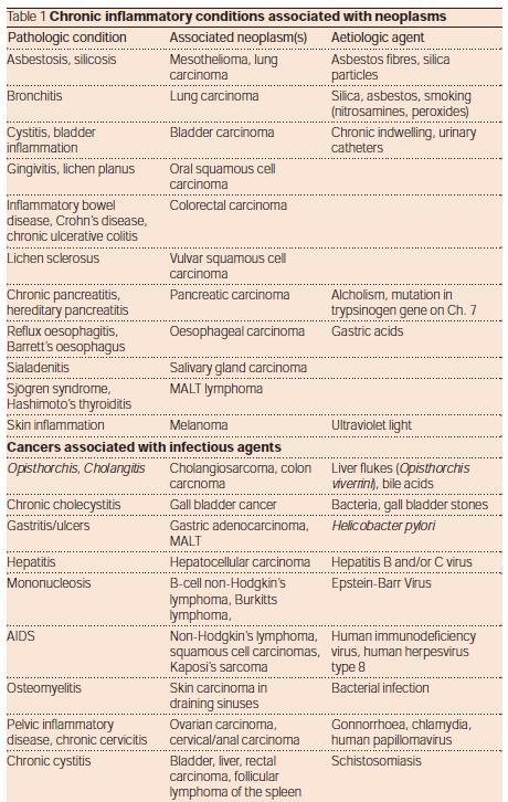 15-20% syöpätautikuolemista löytyy taustalta tulehdustauti: >6% mahasyöpää (H. pylori) 6% HCC (HBV ja HCV) 4% kohdunkaulan syöpä (HPV) Ei-infektiöösejä esim.