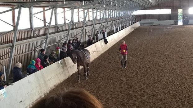 Ohjasajoklinikka oli loppuunmyyty jatkoa odotellaan 18. helmikuuta järjestivät HH Professional Horse Training, TRS ja KaRa Håkan Wahlmanin ohjasajoklinikan Tampereen Ratsastuskeskuksessa.