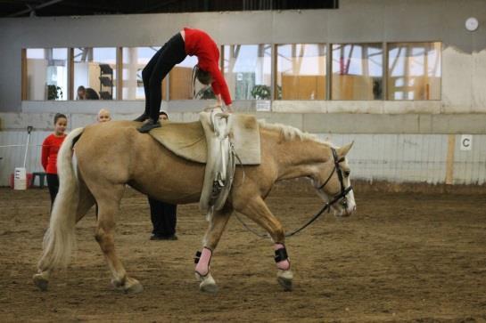 SyLi Ry ja Niihama Riding teemapäivä lasten virkistäytymiseen SyLi Ry ja Niihama Riding järjestivät viime vuoden puolella yhteistyössä hevosaiheisen teemapäivän