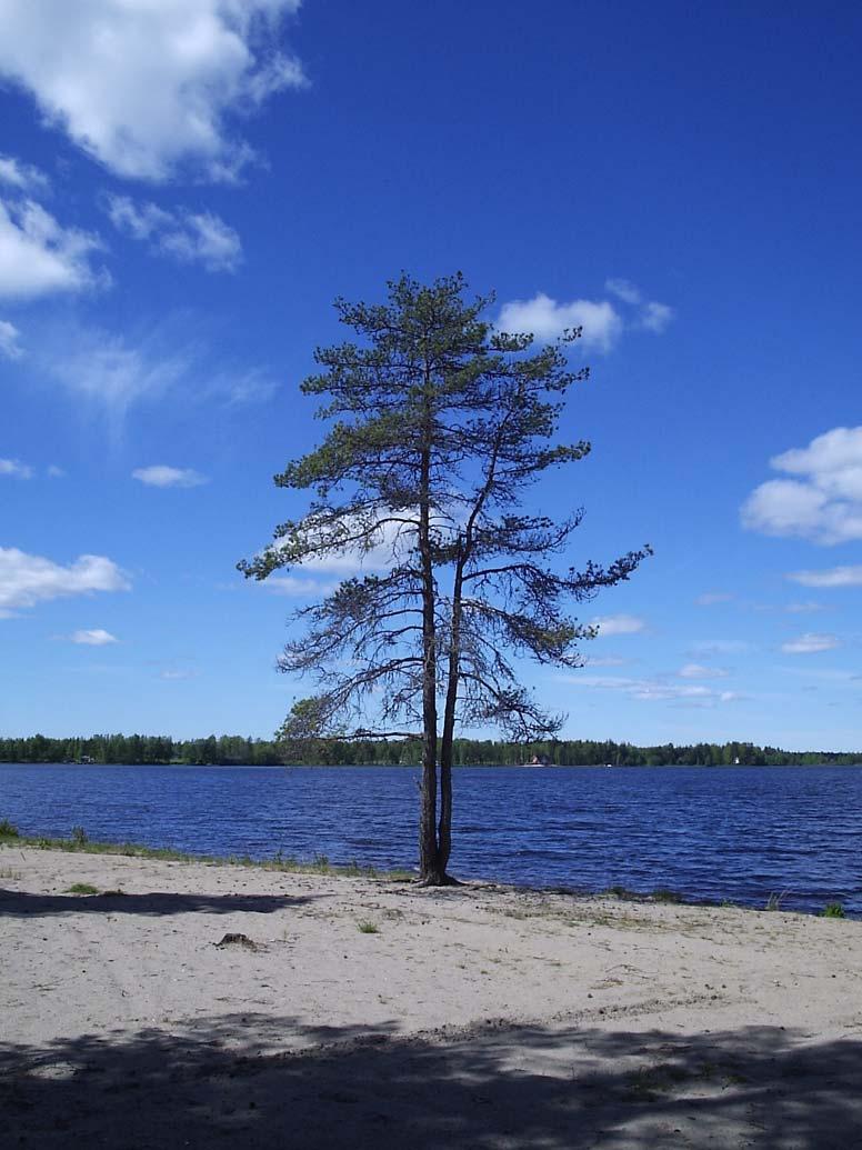 Nummijärvi 500 inhabitants Kauhajoki municipality Strong tradition of voluntary work kökkä