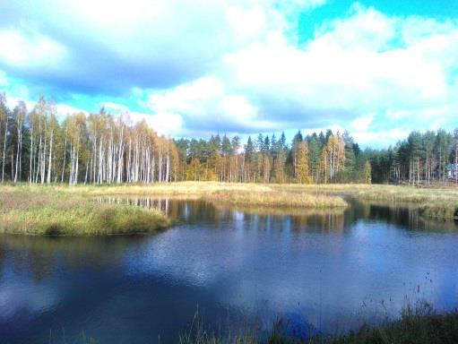 Hyvä maan rakenne ja kasvukunto ovat perusedellytyksiä