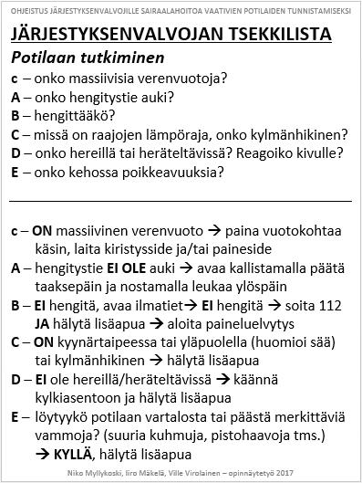 LIITE 1: JÄRJESTYKSENVALVOJAN TSEKKILISTA Kuva 1.