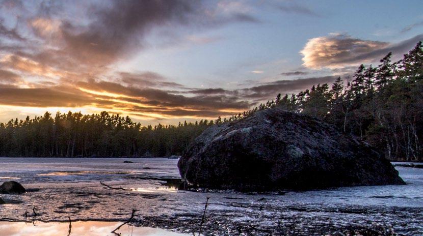 Merkittävin ilmanlaatuhaitta Vaasassa on kevään katupölykauteen liittyvät ilman korkeat hiukkaspitoisuudet. Hiukkaspitoisuudet ovat olleet lievästi laskevia 2000-luvulla.