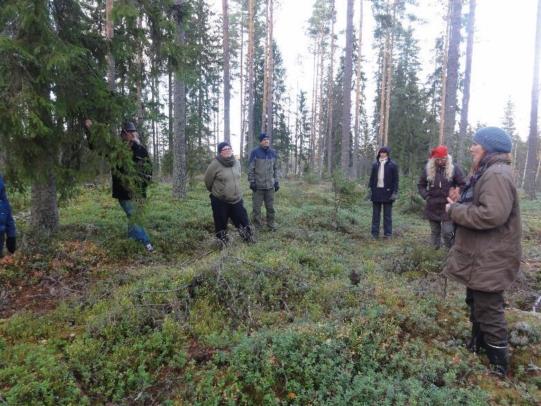 Green Caren ja maaseutumatkailun kehittäminen yritysryhmässä Green Care tiedonvälityshanke Satakunnassa hankkeessa (SAMK) tuetaan yritysryhmähankkeiden syntymistä Green Caren ympärille ja mm.