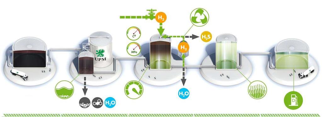 UPM:n uusiutuvan dieselin tuotantoprosessi MÄNTYÖLJY ESIKÄSITTELY VETYKÄSITTELY HIILIVETYJEN EROTUS UUSIUTUVA DIESEL Kemiallisen sellunvalmistuksen tähde, joka sisältää puun luonnollisia uuteaineita.