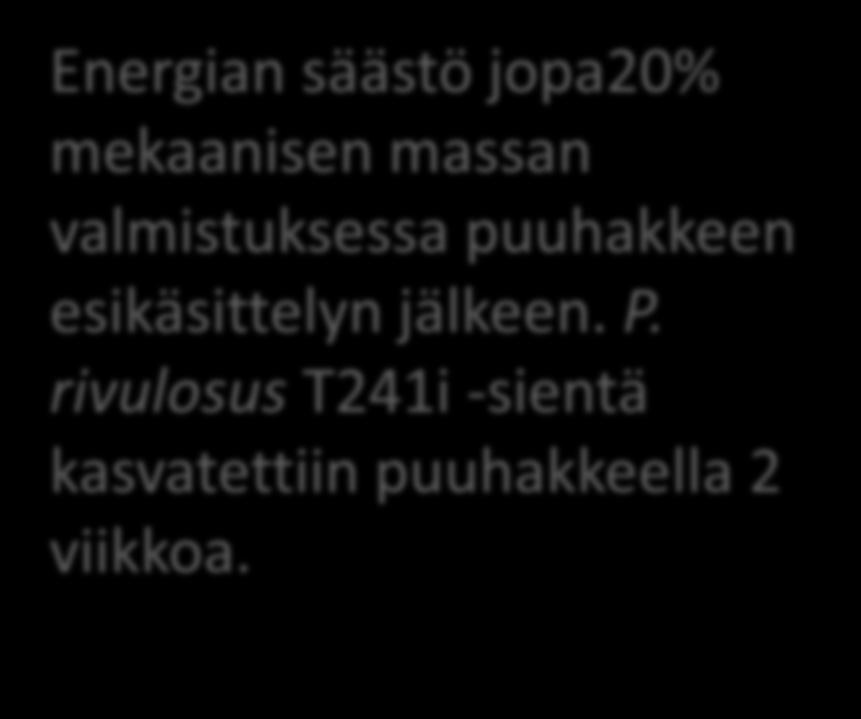 Freeness, ml Biopulping Energian säästö jopa20% mekaanisen massan valmistuksessa puuhakkeen esikäsittelyn jälkeen. P.