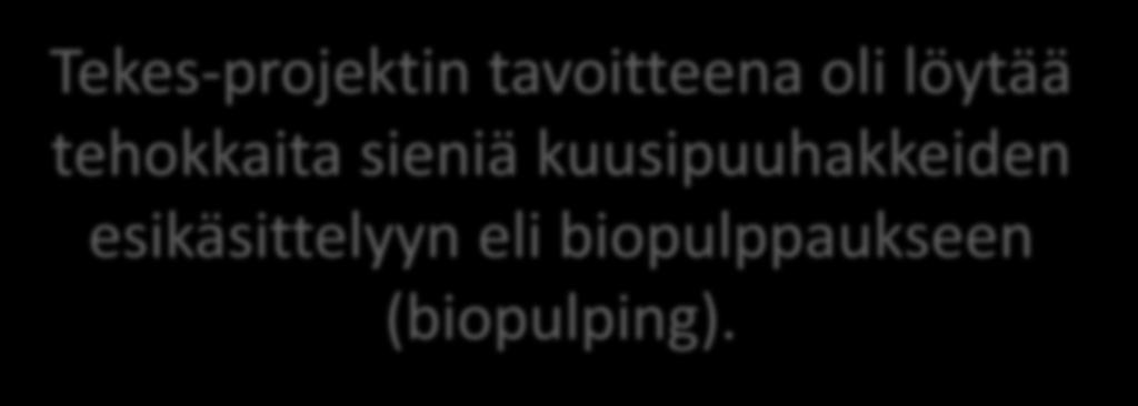 Tekes-projektin tavoitteena oli löytää tehokkaita sieniä kuusipuuhakkeiden esikäsittelyyn eli biopulppaukseen (biopulping).