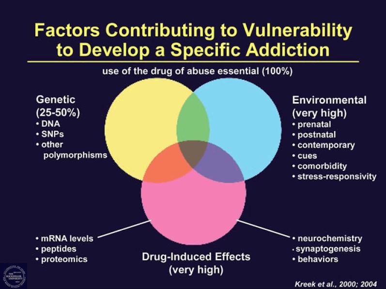huumetta käyttäneistä kehittää aineelle riippuvuuden (Substance abuse and mental health services