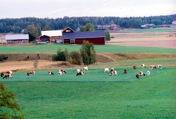 Millaisia asioita huomioin uudessa pihatossa Pihaton sijoittuminen Liikenneväylät Laajennettavuus Ajattomuus