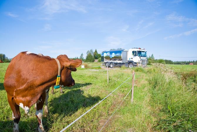Millaisia asioita huomioin uudessa pihatossa 2 Energiariippumattomuus