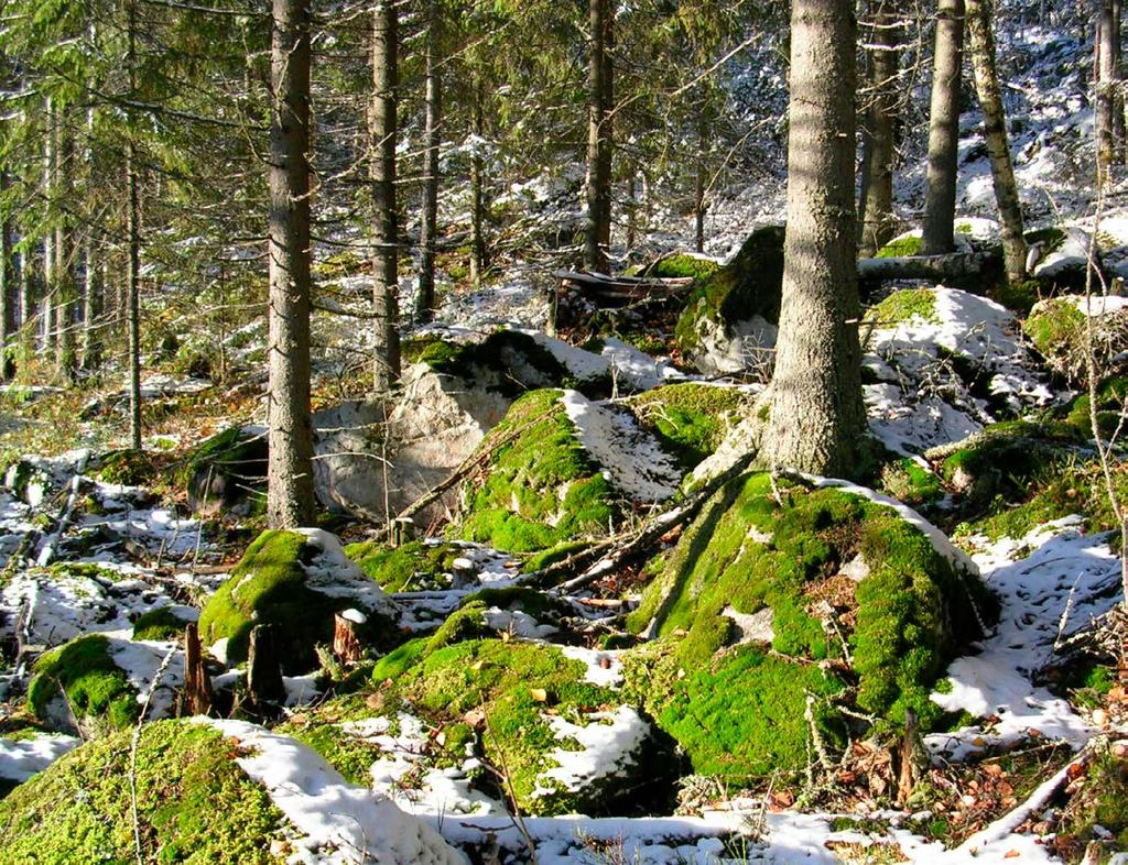 1 2 3 yths.fi facebook.