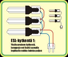 Ensihoidon