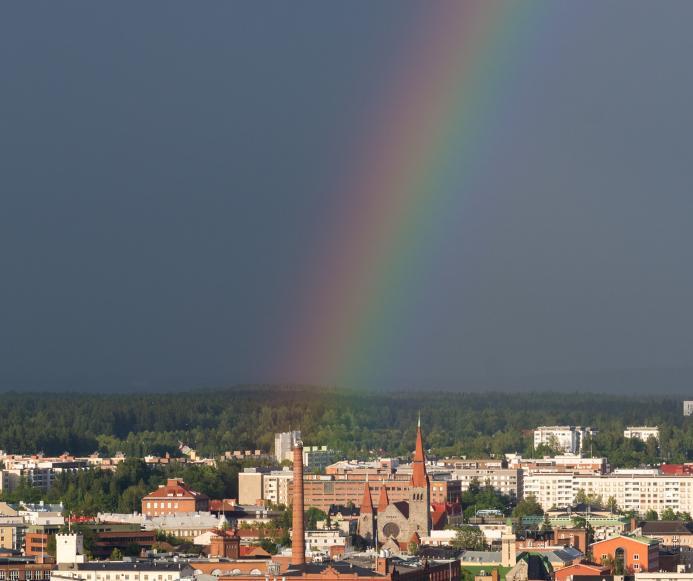 Työllisyydenhoidon kehitysohjelma 2017-2018: