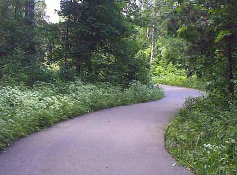 Rukatunturintien välinen puistokäytävä. Väylät ovat pääosin sorapintaisia sekä hyväkuntoisia ja tasaisia (kuva 11).