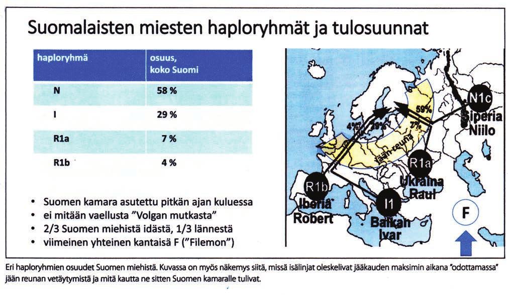 Leinosten sukulehti 1-2017 DNA-tutkimus on tullut uutena menetelmänä sukututkimukseen. Monet ovat Leinostenkin piirissä kyselleet, mistä on kysymys. Voiko sylkinäytteellä selvittää omia sukujuuriaan?