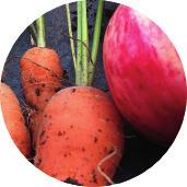 Ruokariippuvuus Ruokariippuvuudella tarkoitetaan pakonomaiseksi ja hallitsemattomaksi muuttunutta syömistä. Ruoka ja syöminen ilmenevät yhtenä riippuvuussairauden muotona.