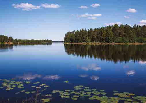 KEVÄTAURINKO SULATTI HINNAT Biorion 60 kaps. Monipuolinen ravintolisä hiusten terveyden ja hyvinvoinnin tukemiseen. 31 20 Norm.