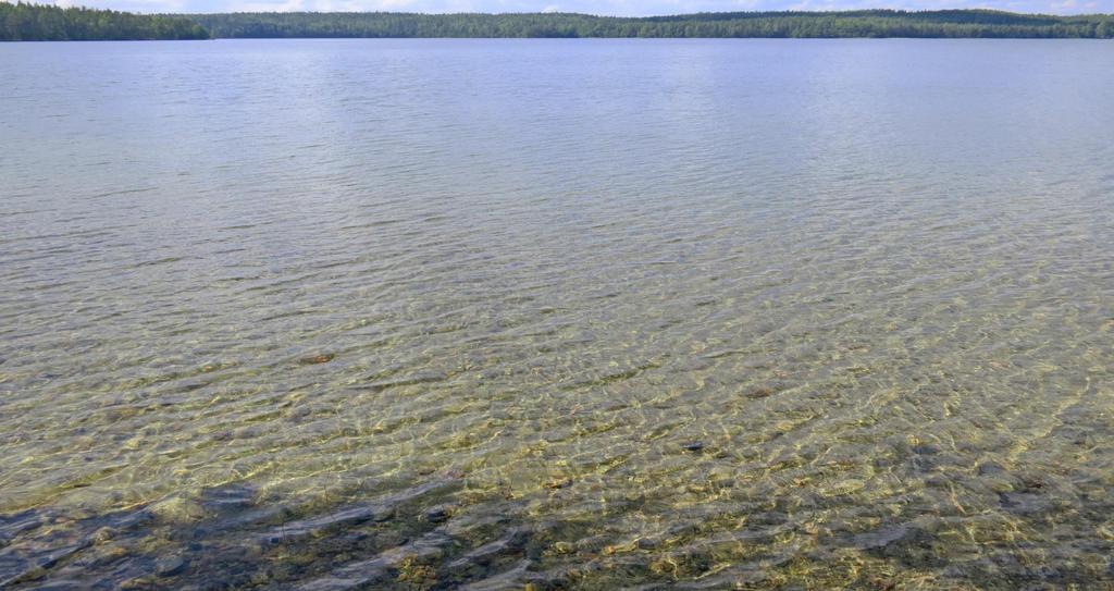 Kahdeksan asiantuntijaryhmää Itämeri pj. tutkimusprofessori Aarno Kotilainen, Geologian tutkimuskeskus Rannikko pj. vanhempi tutkija Terhi Ryttäri, Suomen ympäristökeskus Sisävedet pj.