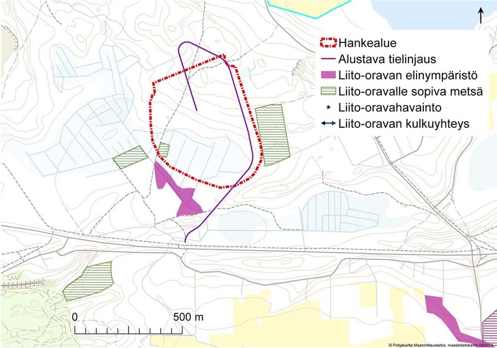 Maijanaron hankealueen ympäristössä on tehty havaintoja liito-oravasta edellisen kerran vuonna 2010, jolloin hankealueen