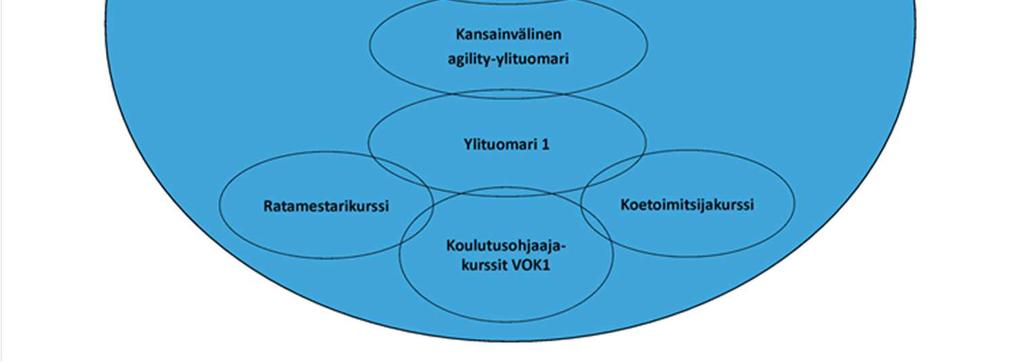 Alueellinen valmennustoiminta on liittojohtoista, mutta alueellisten valmennusryhmien käytännön toteuttamisesta vastaavat alueella toimivat seurat yhdessä.