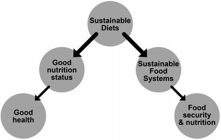 Kestävä ruokavalio kestävässä ruokasysteemissä Two dimensions of sustainable diets as a driver of changes at individual level and system level Food systems go well BEYOND PRODUCTION: to storage,