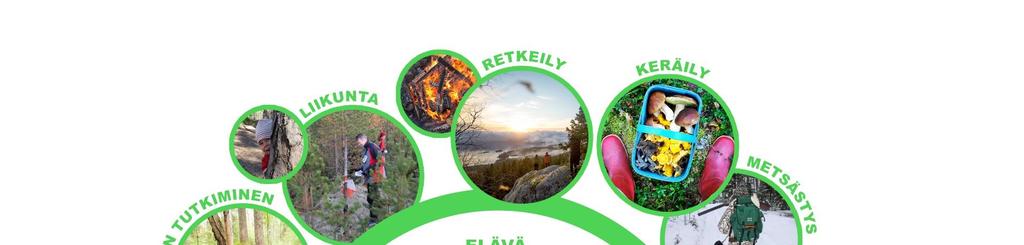 III METSÄSUHTEESSA ON MONIA ULOTTUVUUKSIA Metsäsuhde liittyy elämänvaiheisiin Metsäsuhde syntyy lapsuudessa.