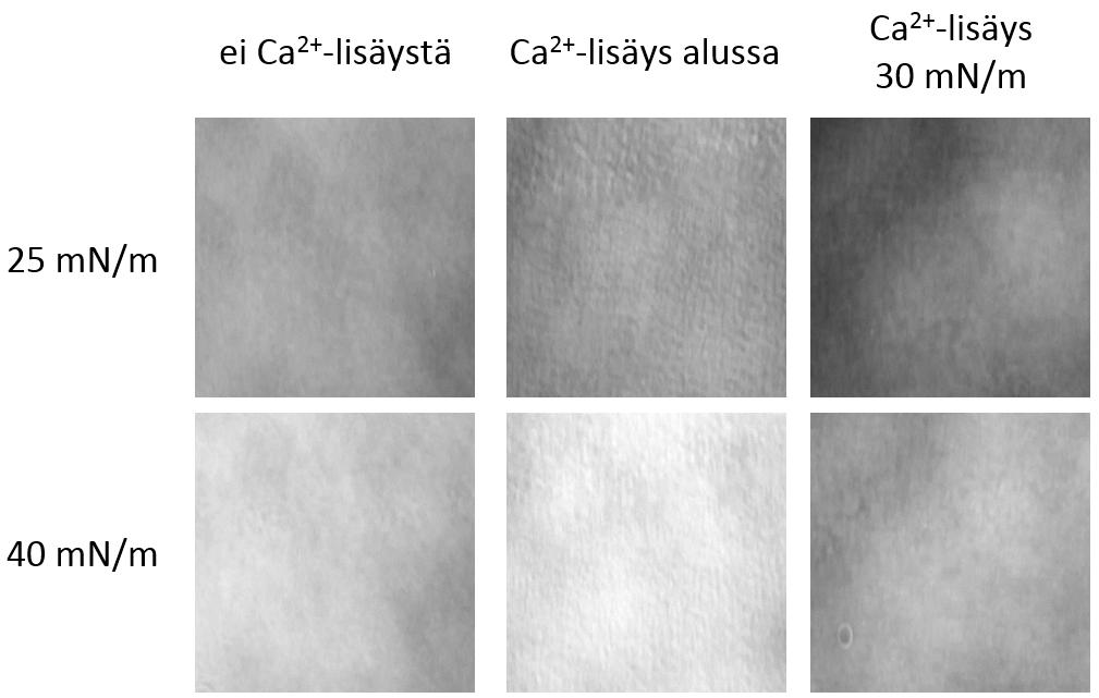 6.3. Proteiinit 57 suuntaan. Ca 2+ -ionien lisäyksen aiheuttama nanoselluloosakiteiden silloittuminen muuttaa niiden järjestäytymistä.