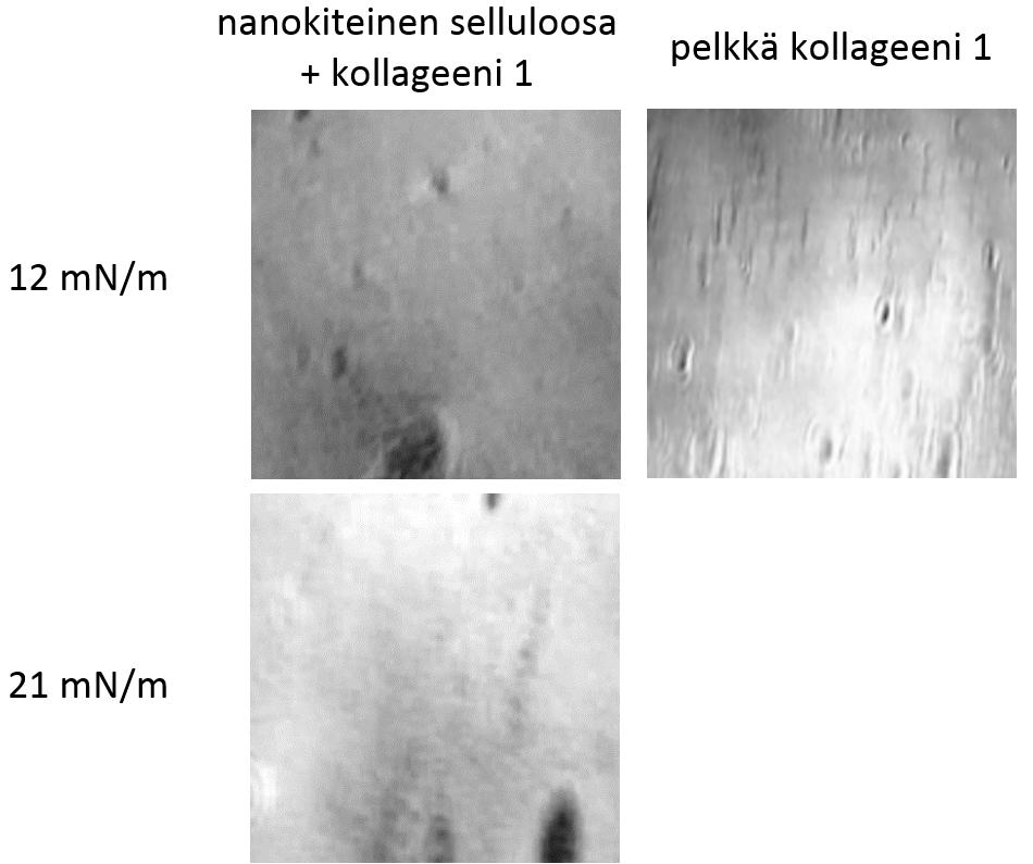6.3. Proteiinit 63 paksumman. Kuva 6.
