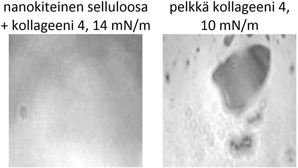 6.3. Proteiinit 68 Kuva 6.