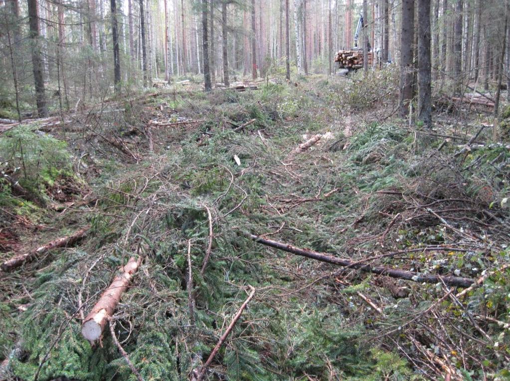 Mikä tärkein mittari puunkorjuun kausivaihtelun mittarointiin? Metsäkoneyrittäjien mielestä parhain mittari kausivaihtelun mittaamiseen on puunkorjuun liikevaihto kuukausittain.