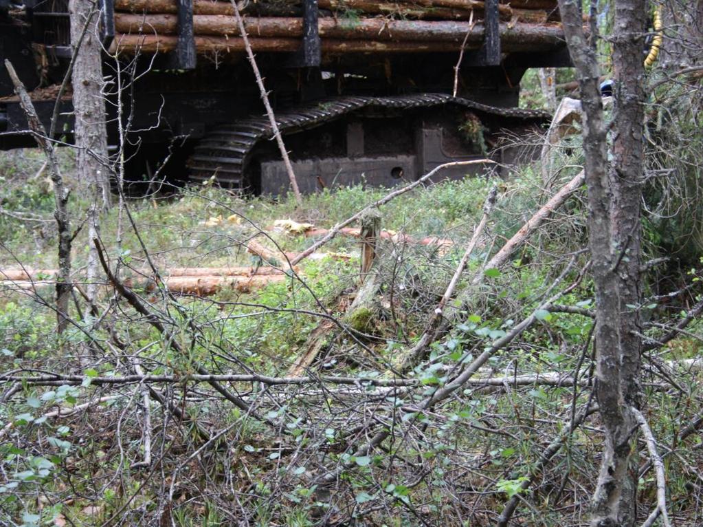 Myös muilla tekijöillä merkittävä vaikutus kausivaihteluun Vastaajaryhmät nostivat merkittävimmiksi syiksi kausivaihteluun myös muita tekijöitä: Teiden huono kunto ja erityisesti huono tieto