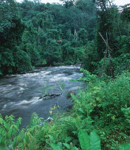 WWF in numbers +100 WWF is in over 100 countries, on 6 continents 1961 WWF was founded in 1961 WWF Finland International Development Programme +5M WWF has over 5 million supporters
