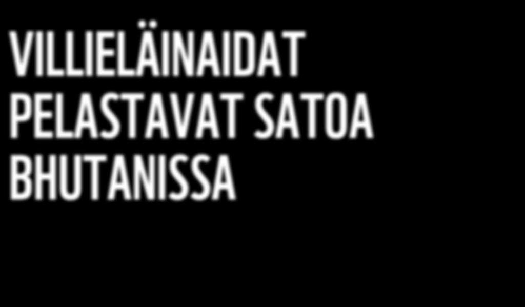Sato tuo nyt enemmän tuloja, ja perhe voi nukkua yönsä rauhassa viljelysten ja pihapiirin ympärillä kulkevan villieläinaidan ansiosta.