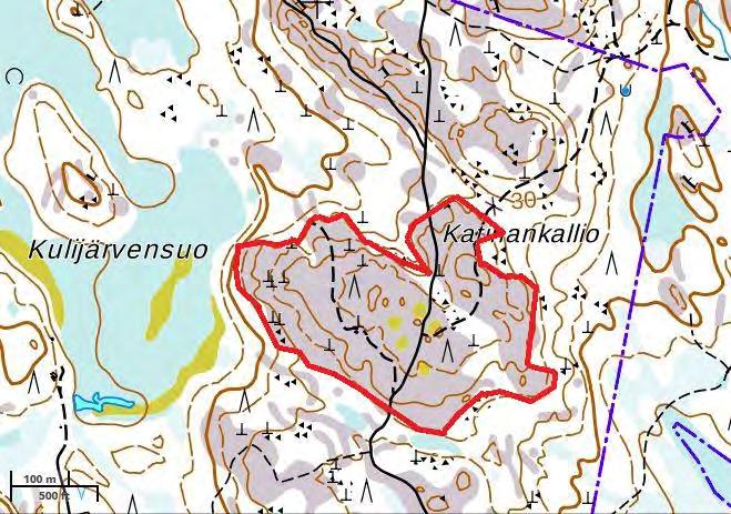 46. Katinankallio metson soidinpaikka Katinankallio sijaitsee Kalannin keskustasta pohjoiseen ja on yksi laajemman kallioalueen kallioista, jotka reunustavat Sirppujoen peltolaaksoa.