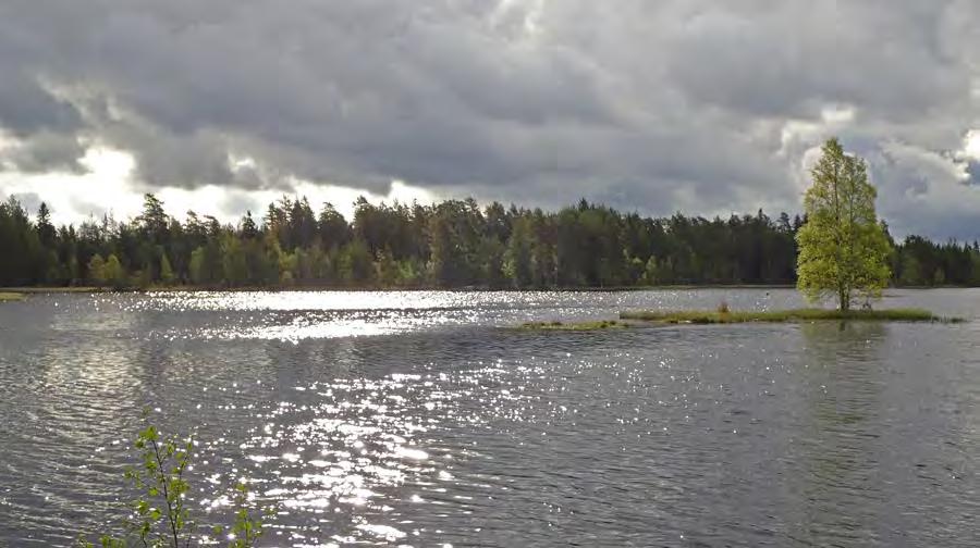 Umpurinjärvi Kalannin länsiosassa Kylähiisissä sijaitsevan järven linnustoa kartoitettiin 2013 (Alho ym. 2013).