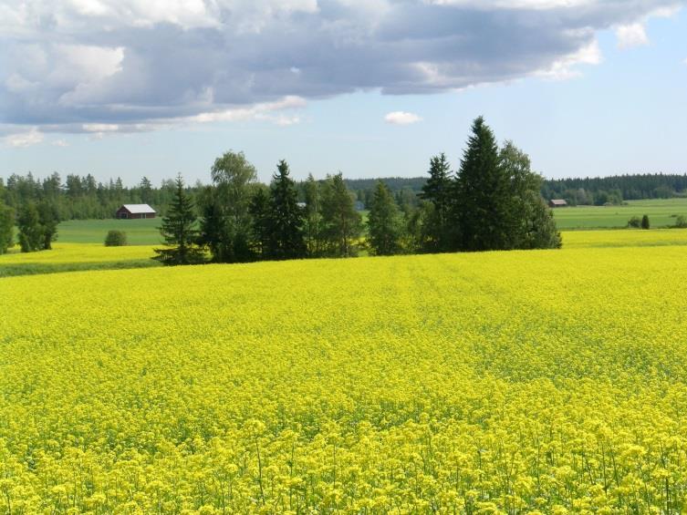 ympäristön tilan parantamiseen ja parempaan