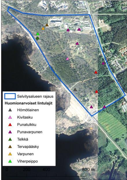 15 (28) Uuden liikenteenhoitoraiteen läheisyydestä on tehty havaintoja myös huomionarvoisista lintulajeista kuten viherpeiposta, telkästä, tervapääskystä ja punavarpusesta.