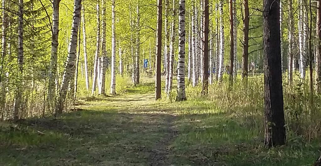 VAPAA-AIKA KAIKKI MAHTUVAT KONTIONPOLUILLE Teksti: Niina Rintala J oko on lenkkarit tai maastopyörä kiillotettu?
